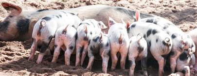 河南好益施建材有限公司